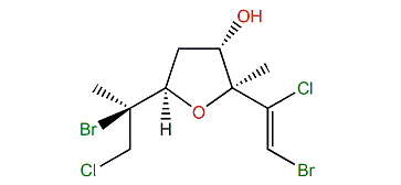 Furoplocamioid B